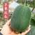 油皮丝瓜苗直播苗嫁接苗苹果丝瓜苗免费技术指导包回收
