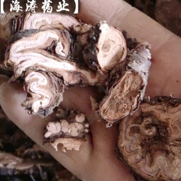 【红景天】西藏产区优质货源，规格齐全量大优惠质量保证。