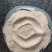 大量供应烘干豆渣猪牛羊饲料蛋白高适口性好