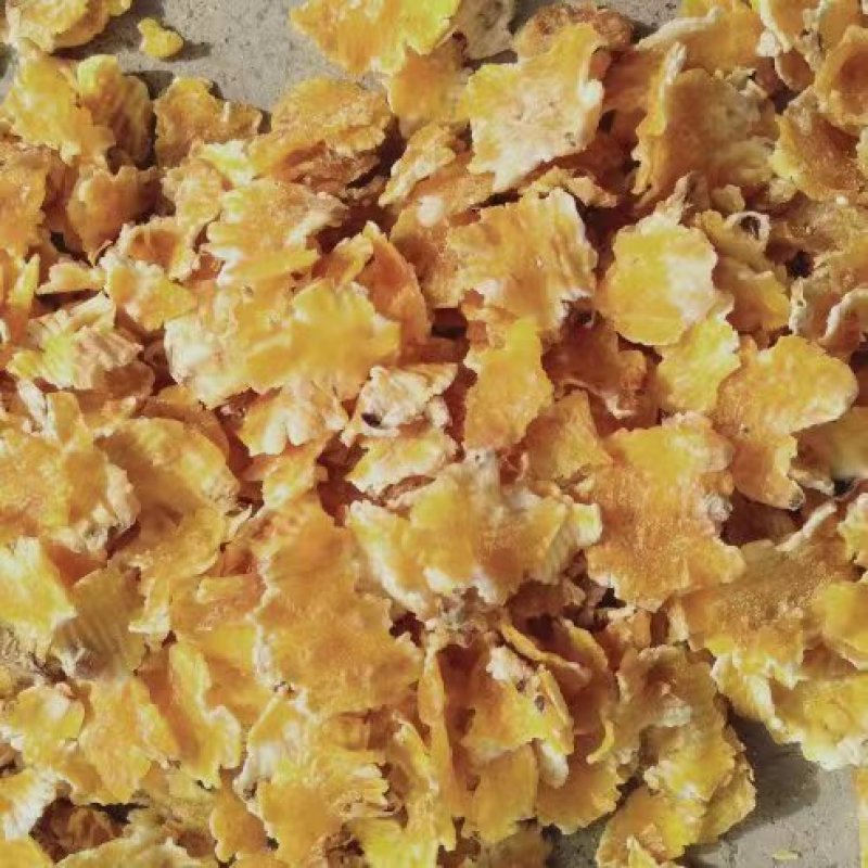 厂家大量供应玉米压片质量好，纯玉米压片，猪牛饲