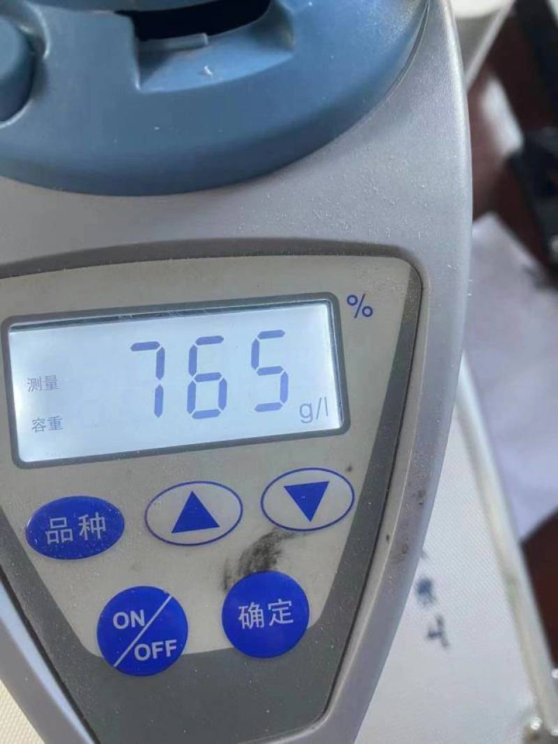 红缨子高粱。净粮现货20000吨。价格便宜，量大价格可商