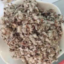 厂家直销棉籽壳，种蘑菇用的菌类都可用，无杂志