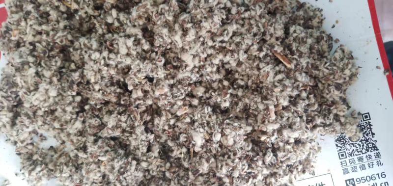 厂家直销棉籽壳，种蘑菇用的菌类都可用，无杂志