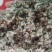 厂家直销棉籽壳，种蘑菇用的菌类都可用，无杂志