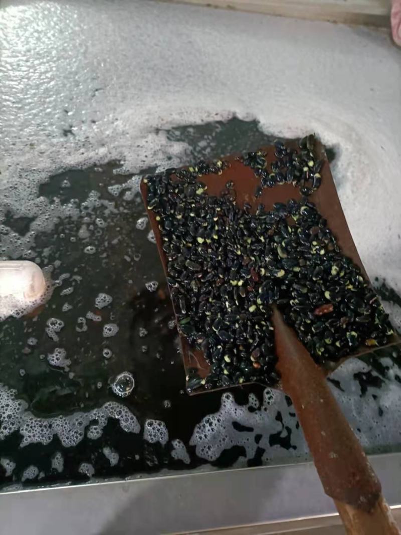 腐竹