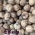 山西老树核桃厚皮核桃新货无漂白