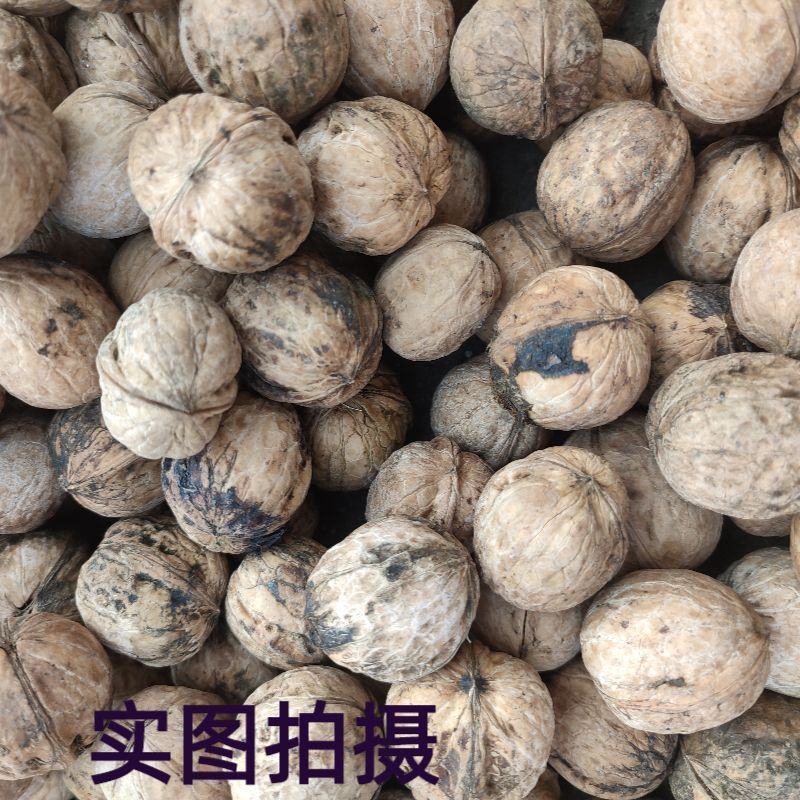 山西老树核桃厚皮核桃新货无漂白