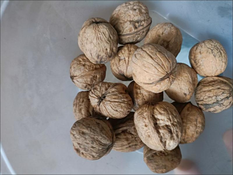 山西老树核桃厚皮核桃新货无漂白