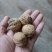 山西老树核桃厚皮核桃新货无漂白