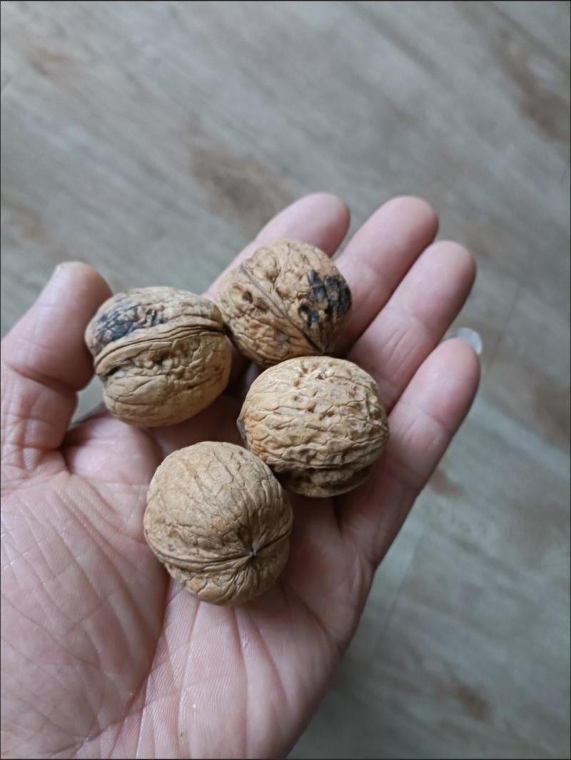 山西老树核桃厚皮核桃新货无漂白