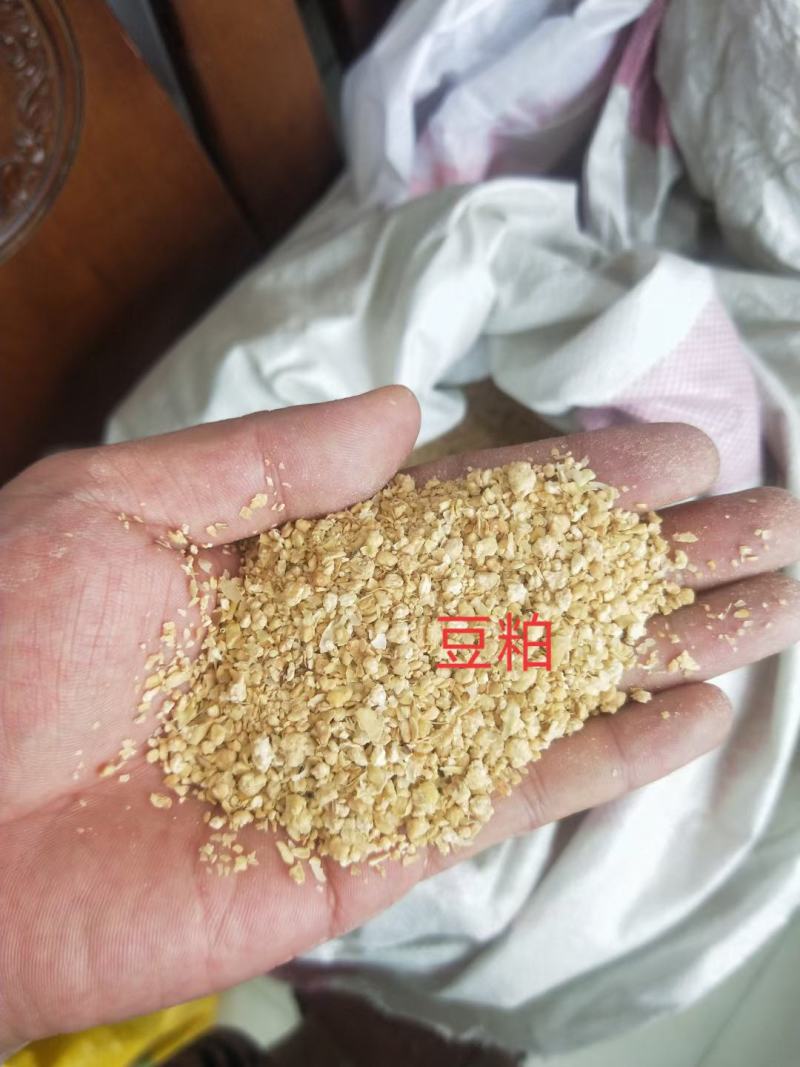 各大厂家豆粕，一手货源，量大从优，大量供货，欢迎来电