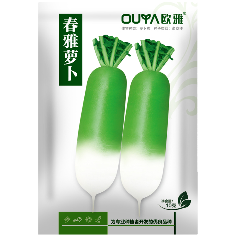 耐低温春萝卜种子肉色淡绿60天采收肉质细腻整齐一致杂交种
