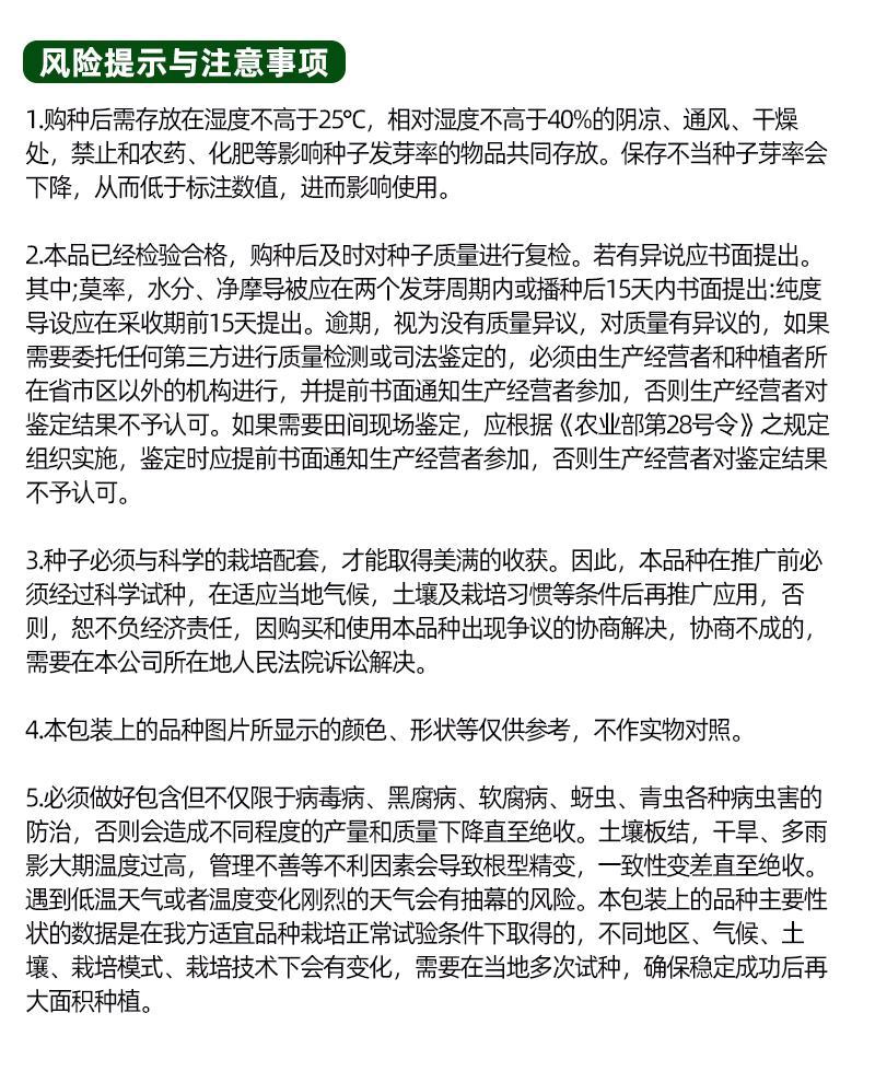耐低温春萝卜种子肉色淡绿60天采收肉质细腻整齐一致杂交种
