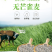 无芒雀麦种子多年生耐寒草畜禽牧草籽猪牛羊驴鸡鹅