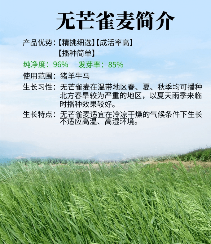 无芒雀麦种子多年生耐寒草畜禽牧草籽猪牛羊驴鸡鹅