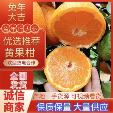 精品推荐黄果柑产地直供全国发货硬度足耐运输