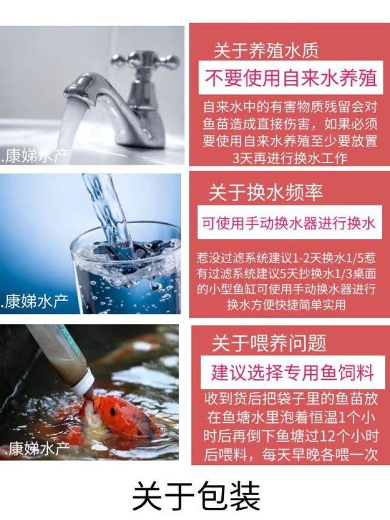 杂交黄骨鱼苗全雄黄辣丁苗黄颡鱼苗黄鸭叫昂刺鱼苗优质快大种
