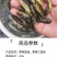 杂交黄骨鱼苗全雄黄辣丁苗黄颡鱼苗黄鸭叫昂刺鱼苗优质快大种