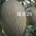 耀龙25号苗免费技术指导黄金蜜25号苗耀龙25号哈密瓜苗