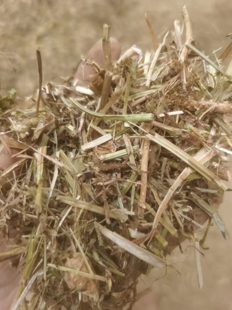 大量供应花生秧羊饲料无土无膜量大从优