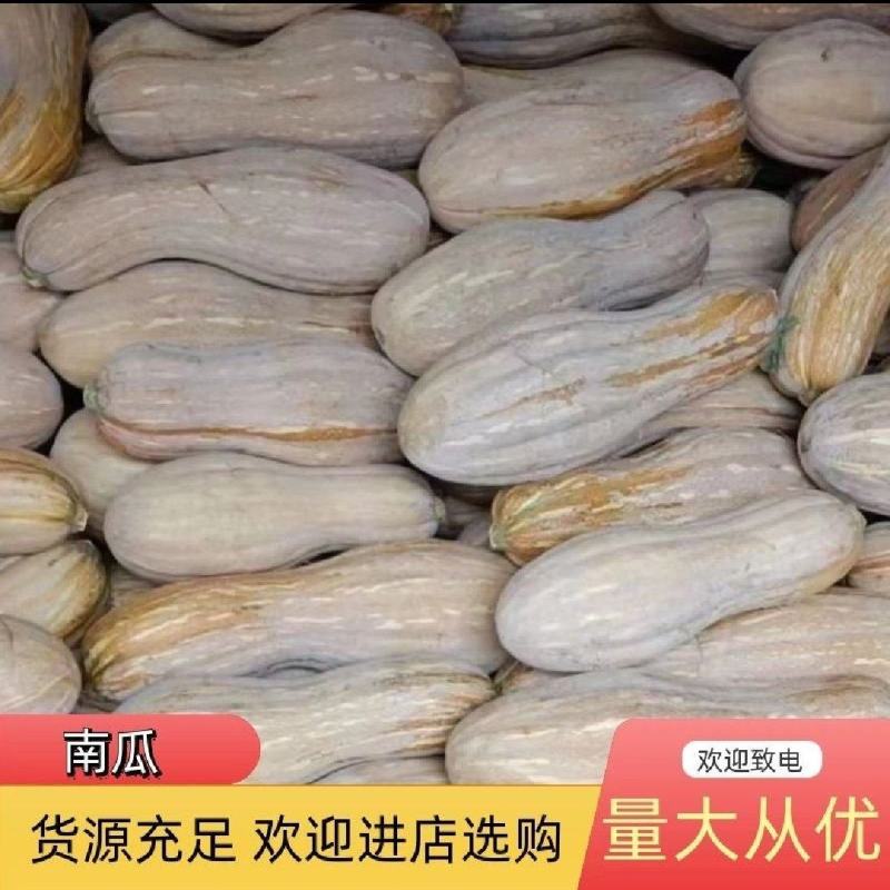 全黄蜜本南瓜全黄老南瓜电商小南瓜养殖加工厂大南瓜