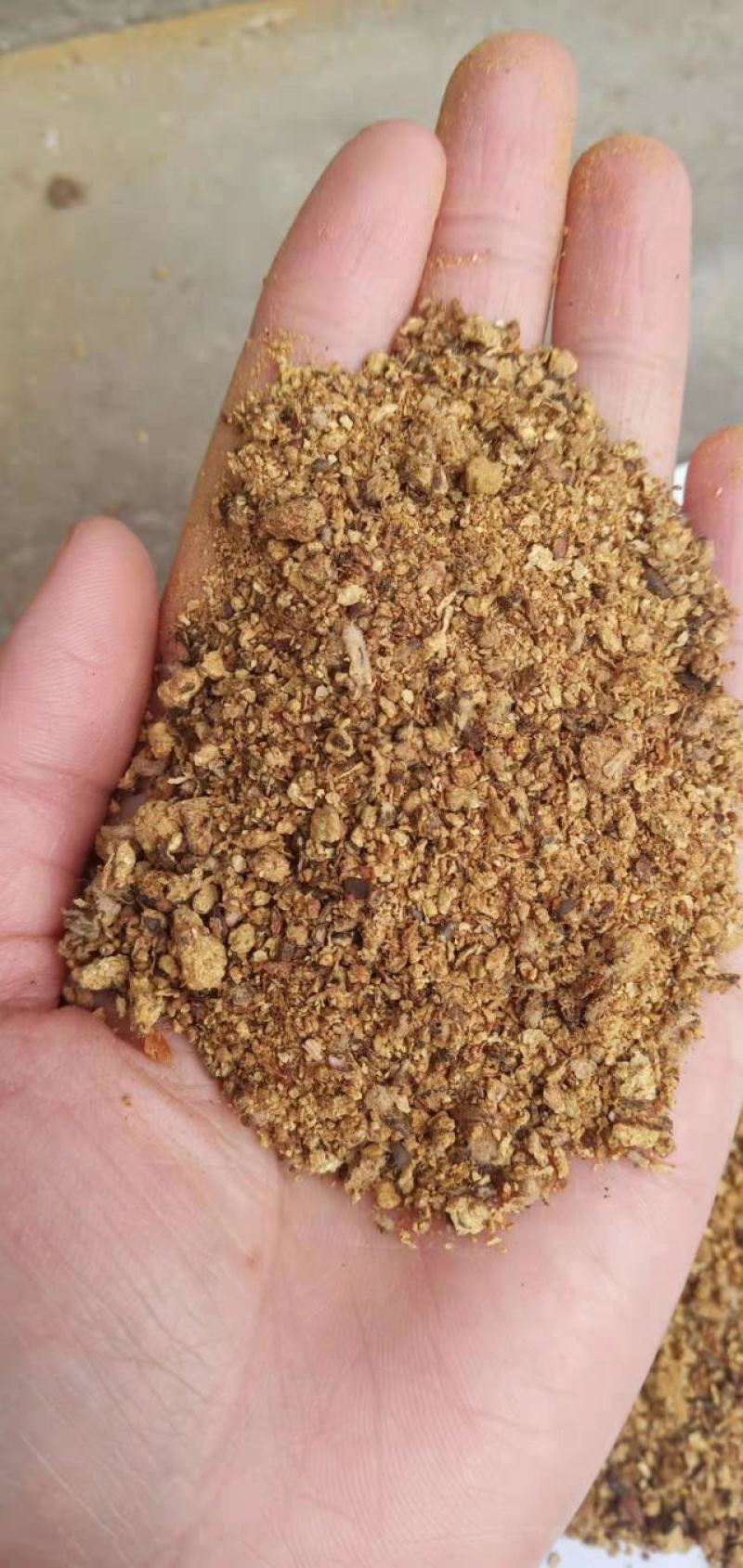 棉粕42蛋白牛羊猪饲料蛋白高