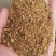 棉粕42蛋白牛羊猪饲料蛋白高