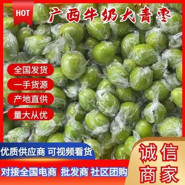 青枣广西平南大青枣，蜜丝枣、金桃枣、大量现货供应