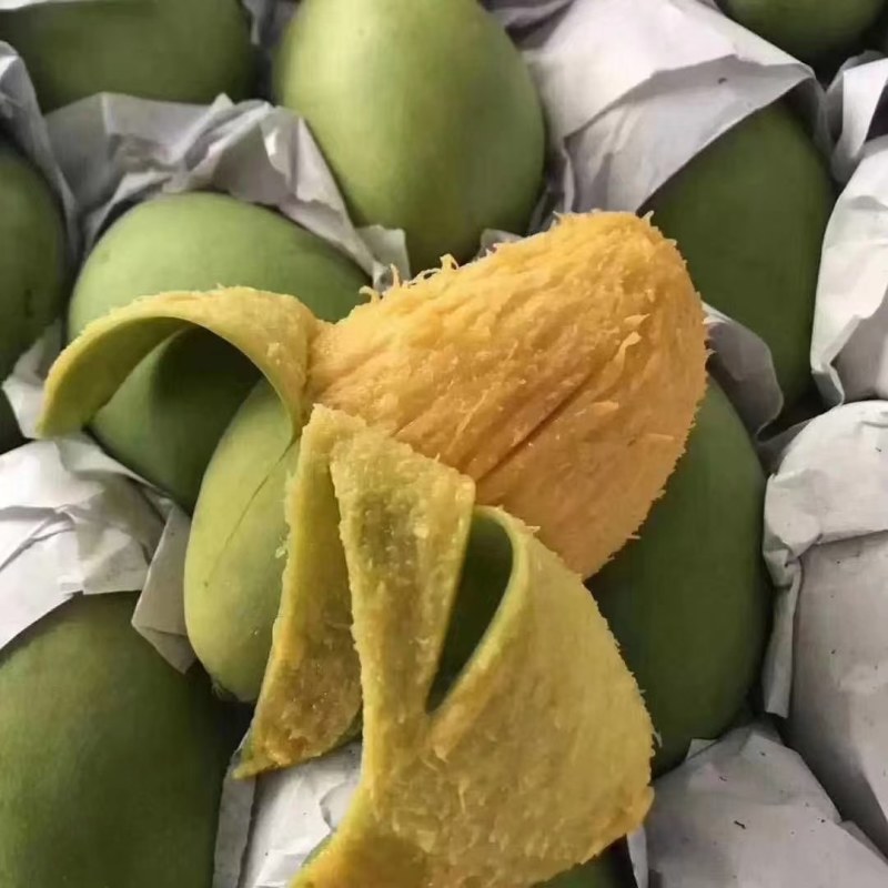 玉芒一件代发越南玉芒一件代发支持所有电商平台