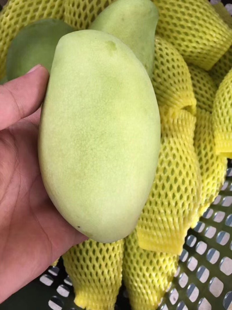 玉芒一件代发越南玉芒一件代发支持所有电商平台