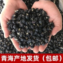 【青海发货】头茬诺木洪黑枸杞500克袋装多规格可选包邮