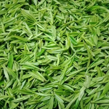 茶叶