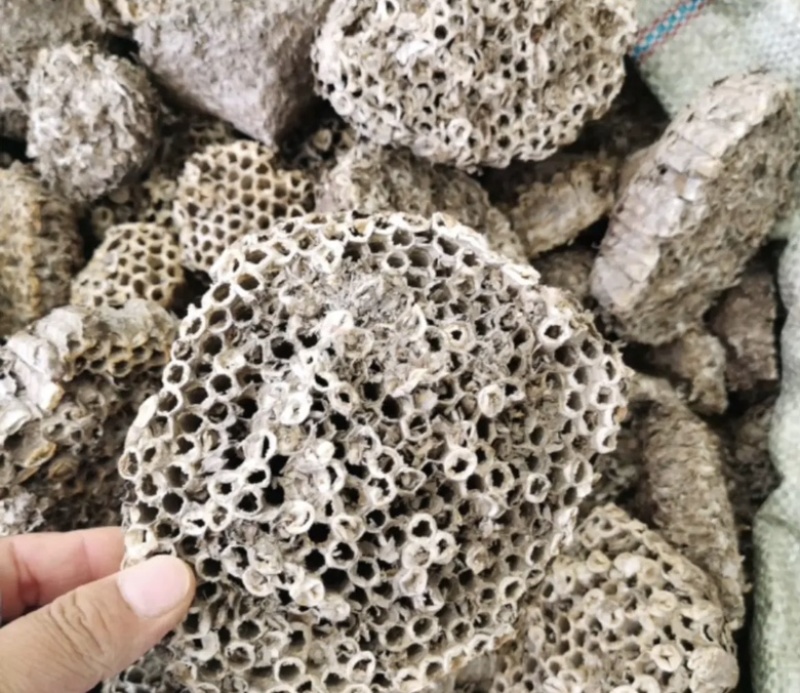 蜂房统装500g产地山东振兴药材购销站量大从优