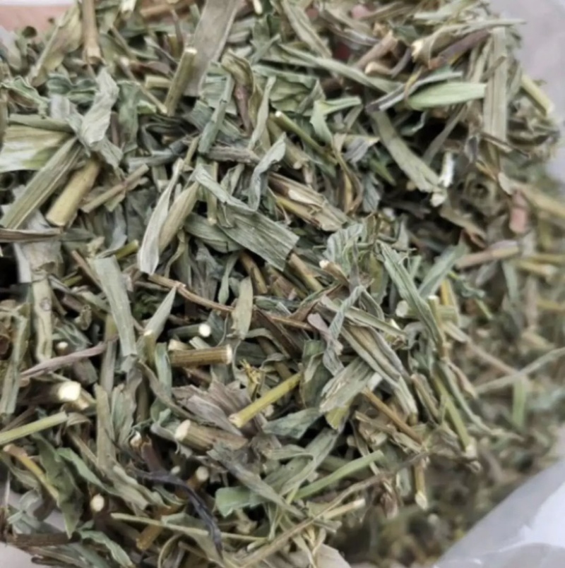 柴胡苗产地东北振兴药材购销站量大从