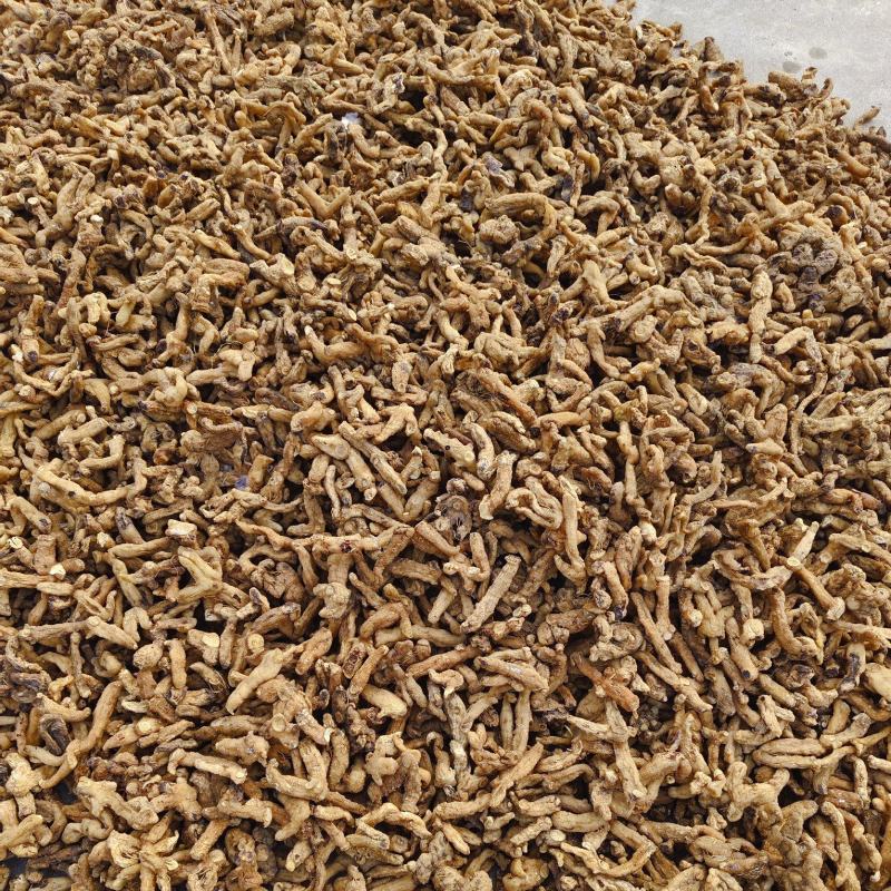 黄精干货，多花姜型黄精基地直发