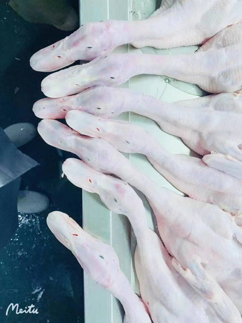 一级白条鸭1100