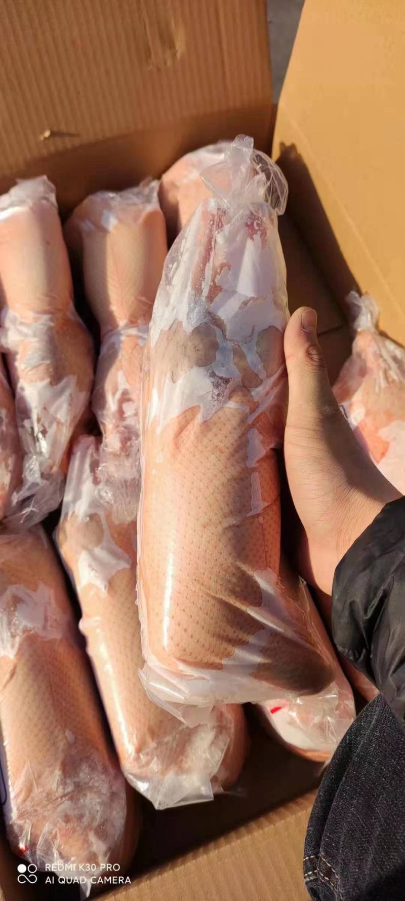 一级白条鸭1100