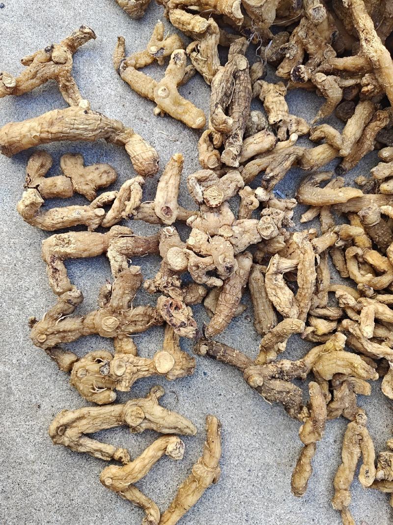 黄精干货，多花姜型黄精基地直发