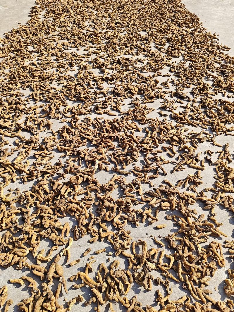 黄精干货，多花姜型黄精基地直发