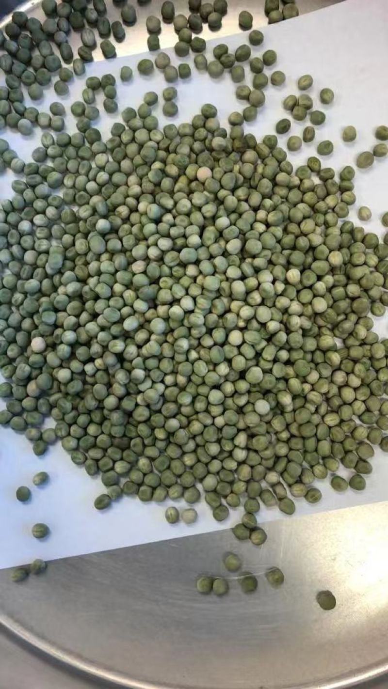 美国绿豌豆方绿豌豆青豆青豌豆