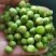 美国绿豌豆方绿豌豆青豆青豌豆