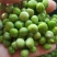 美国绿豌豆方绿豌豆青豆青豌豆