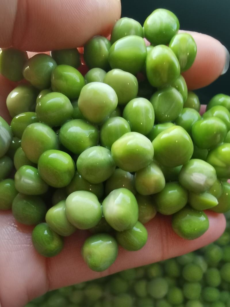 美国绿豌豆方绿豌豆青豆青豌豆