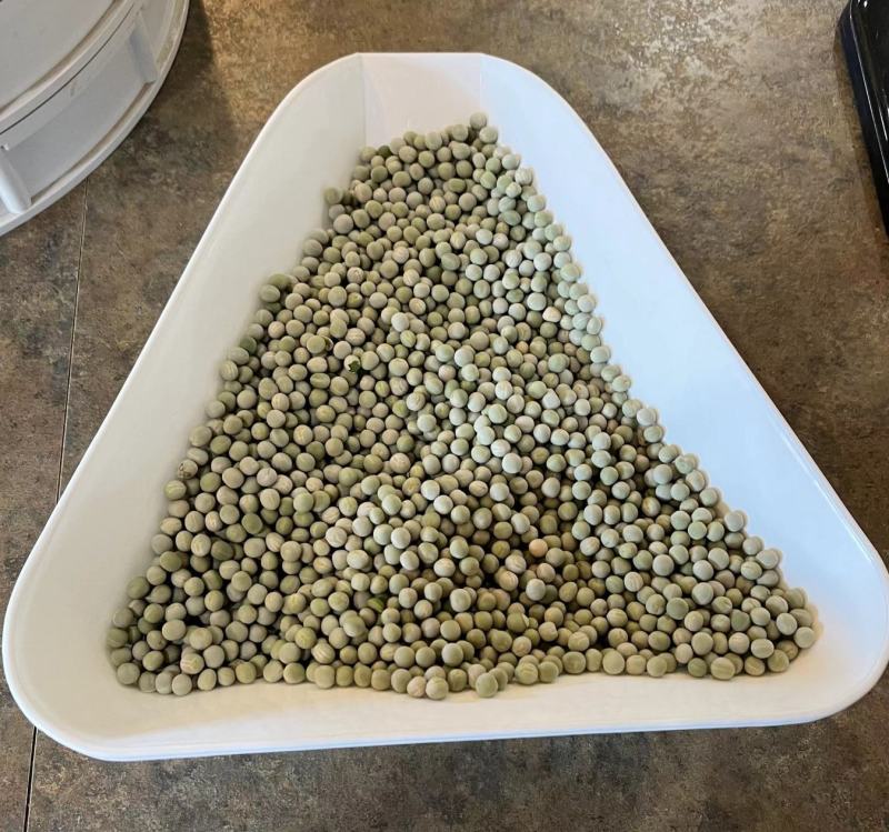 美国绿豌豆圆绿青豆青豌豆油炸泡水
