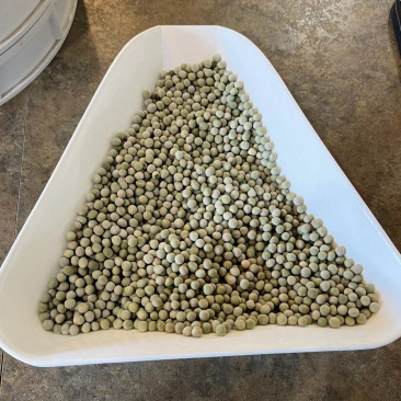 美国绿豌豆圆绿青豆青豌豆油炸泡水