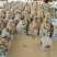 枇杷，长虹枇杷40克起