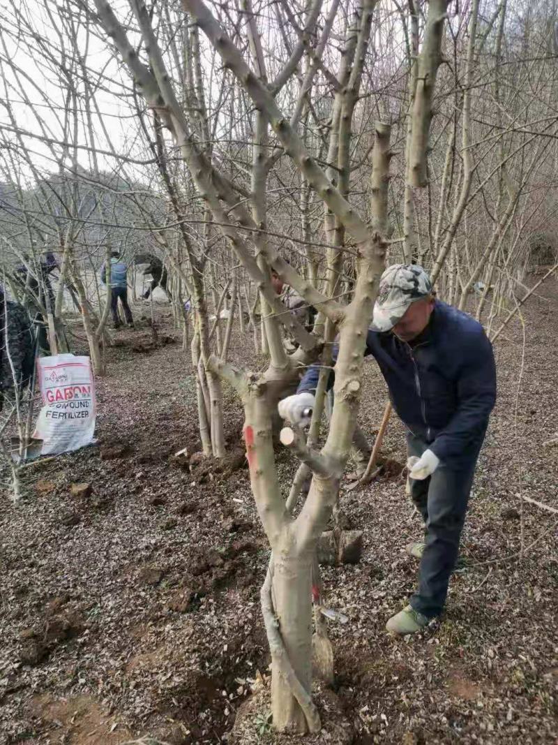 产地一手货源