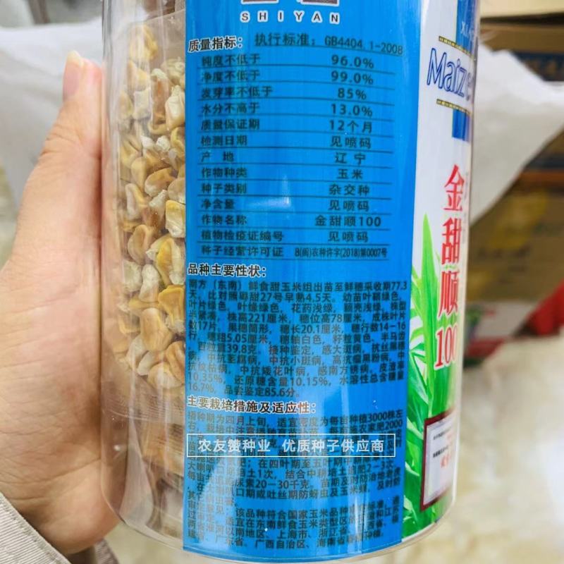 黄色水果玉米种子鲜食甜玉米种子金甜顺100水果玉米皮薄