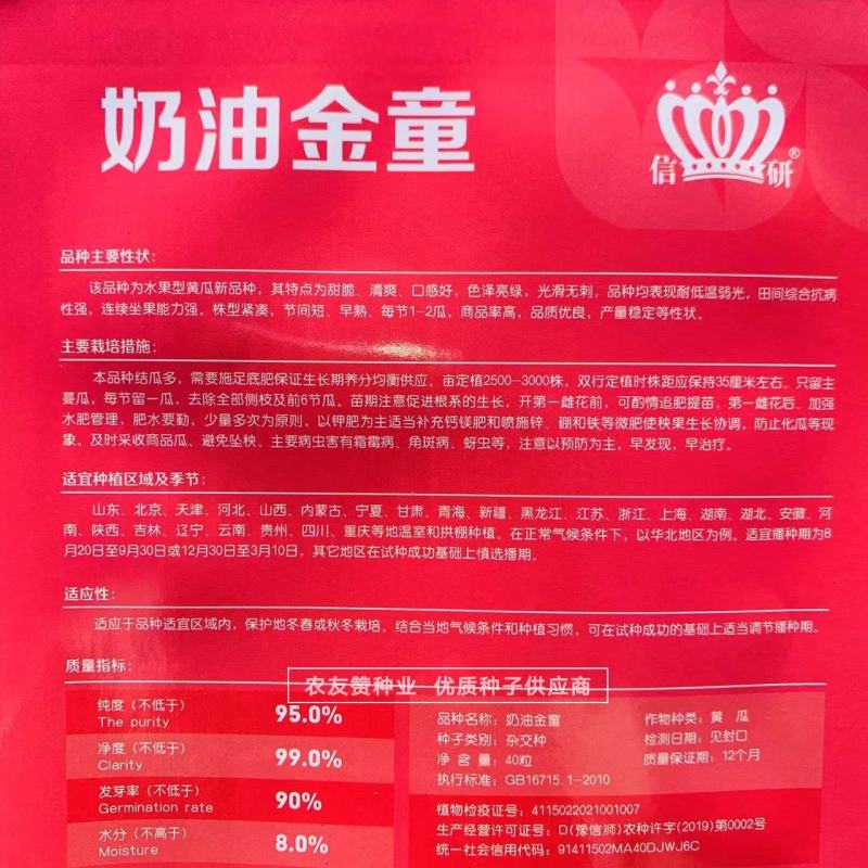 奶油金童黄瓜种子水果型黄瓜，无刺甜脆清爽小黄瓜种子