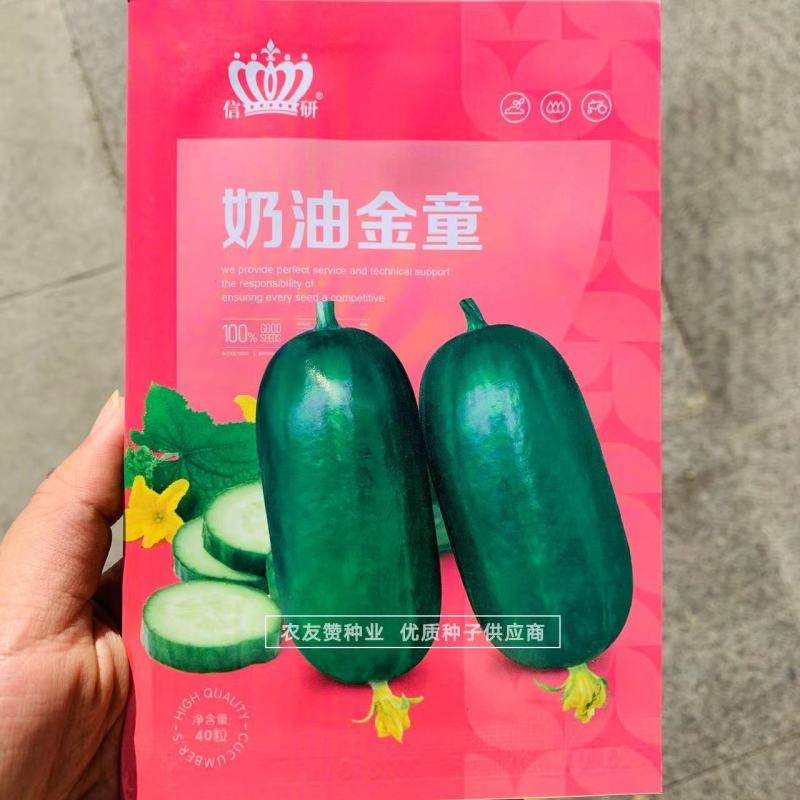 奶油金童黄瓜种子水果型黄瓜，无刺甜脆清爽小黄瓜种子